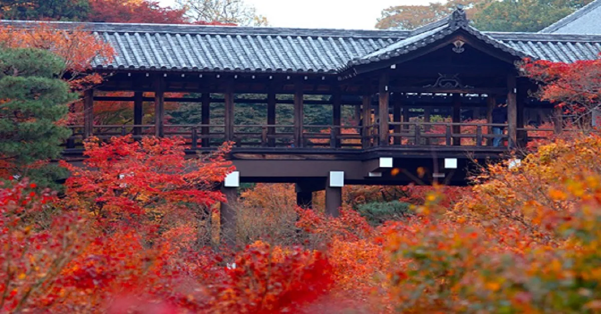 Japan Tokyo Universal Studios Japan Oishi Park Autumn - ทัวร์ญี่ปุ่น โตเกียว สวนสนุกยูนิเวอร์แซลสตูดิโอเจแปน สวนโออิชิปาร์ค ใบไม้เปลี่ยนสี