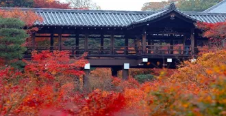 Japan Tokyo Universal Studios Japan Oishi Park Autumn - ทัวร์ญี่ปุ่น โตเกียว สวนสนุกยูนิเวอร์แซลสตูดิโอเจแปน สวนโออิชิปาร์ค ใบไม้เปลี่ยนสี