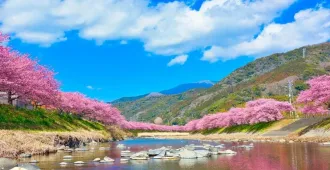 Japan Tokyo Kawazu Fuji Sakura Ski Winter - ทัวร์ญี่ปุ่น โตเกียว คาวาสึ ฟูจิ ชมเทศกาลดอกซากุระบานในคาวาซุและกิจกรรมลานสกี (อิสระ 1 วัน)