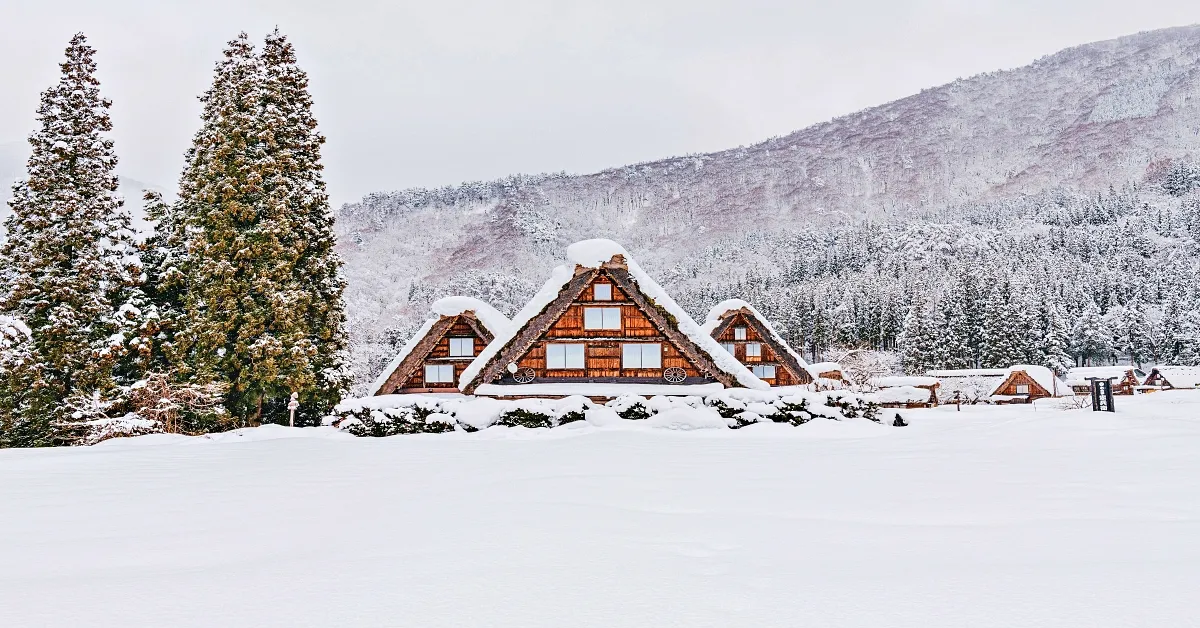 Japan Osaka Kyoto Uji Shirakawago Sweet Winter With You Takasu Snow Park - ทัวร์ญี่ปุ่น โอซาก้า เกียวโต อุจิ ชิราคาวาโกะ หน้าหนาว ตะลุยหิมะทาคาสุ สโนว์พาร์ค