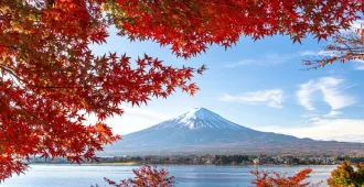 Japan Tokyo Osaka Shizuoka Yamanashi Hamana Lake Shinjuku Disneyland - ทัวร์ญี่ปุ่น โตเกียว โอซาก้า ชิสึโอกะ ยามานาชิ ทะเลสาบฮามานะ ช้อปปิ้งชินจูกุ