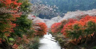 Japan Osaka Nagoya Takayama Obara Korankei - ทัวร์ญี่ปุ่น โอซาก้า นาโกย่า ทาคายาม่า โอบาระ โครังเค ชมซากุระและใบไม้เปลี่ยนสี