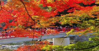  Japan Osaka Nagoya  Kyoto Obara Korankei -  ทัวร์ญี่ปุ่น โอซาก้า นาโกย่า เกียวโต โอบาระ โครังเค ชมใบไม้เปลี่ยนสี สุดว้าวกับเทศกาลไฟนาบานะ