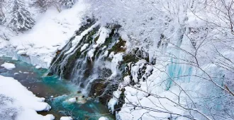 Japan Hokkaido Asahikawa Otaru Free Day - ทัวร์ญี่ปุ่น ฮอกไกโด อาซาฮิคาวะ โอตารุ ซุปตาร์ ตะลุยฮอกไกโด โบ๊ะบ๊ะทุกพิกัด (อิสระ 1 วัน)
