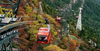 Japan Nagoya Momiji Gari Autumn - ทัวร์ญี่ปุ่น นาโกย่า โมมิจิการิ ใบไม้เปลี่ยนสี