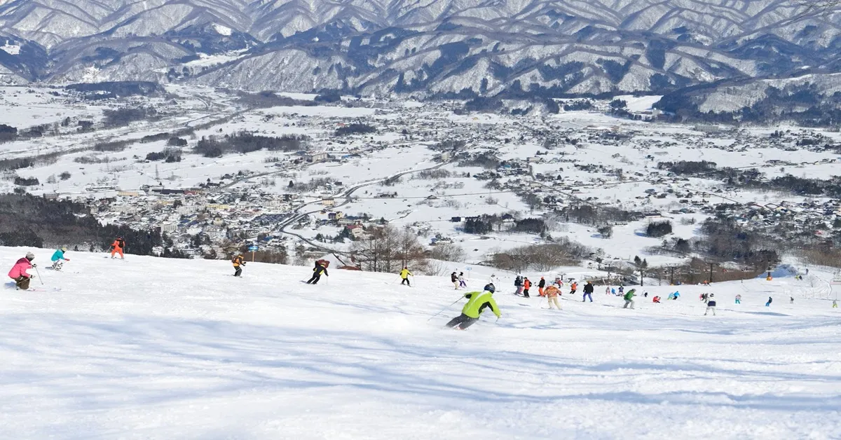 Japan Tokyo Narita Fuji Sagamiko Illumilion Ski - ทัวร์ญี่ปุ่น โตเกียว นาริตะ ฟูจิ สนุกสุดเหวี่ยงกับกิจกรรมสกีฟูจิเท็นและตระการตางานประดับไฟสะกะมิโกะ (อิสระ 1 วัน)