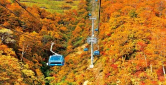 Japan Nagoya Fuji Takayama Shirakawago Japan Alps - ทัวร์ญี่ปุ่น นาโกย่า ฟูจิ ทาคายาม่า ชิราคาวาโกะ ชมใบไม้เปลี่ยนสี แบบพาโนราม่า