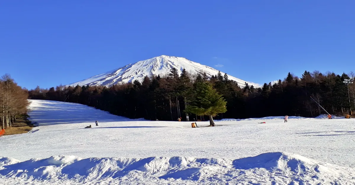 Japan Tokyo Narita Kamakura Fuji Freeday Disneyland Snow German Village - ทัวร์ญี่ปุ่น ซุปตาร์ โตเกียว นาริตะ คามาคุระ ฟูจิ อิสระ ดิสนีย์แลนด์ หิมะขาว งานประดับไฟหมู่บ้านเยอรมัน