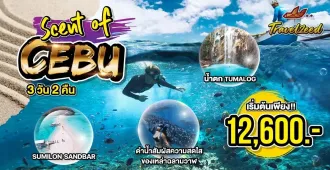 Scent Of Cebu - แพ็คเกจทัวร์ส่วนตัวซีบู แพ็คเกจทัวร์ส่วนตัวเซบู  