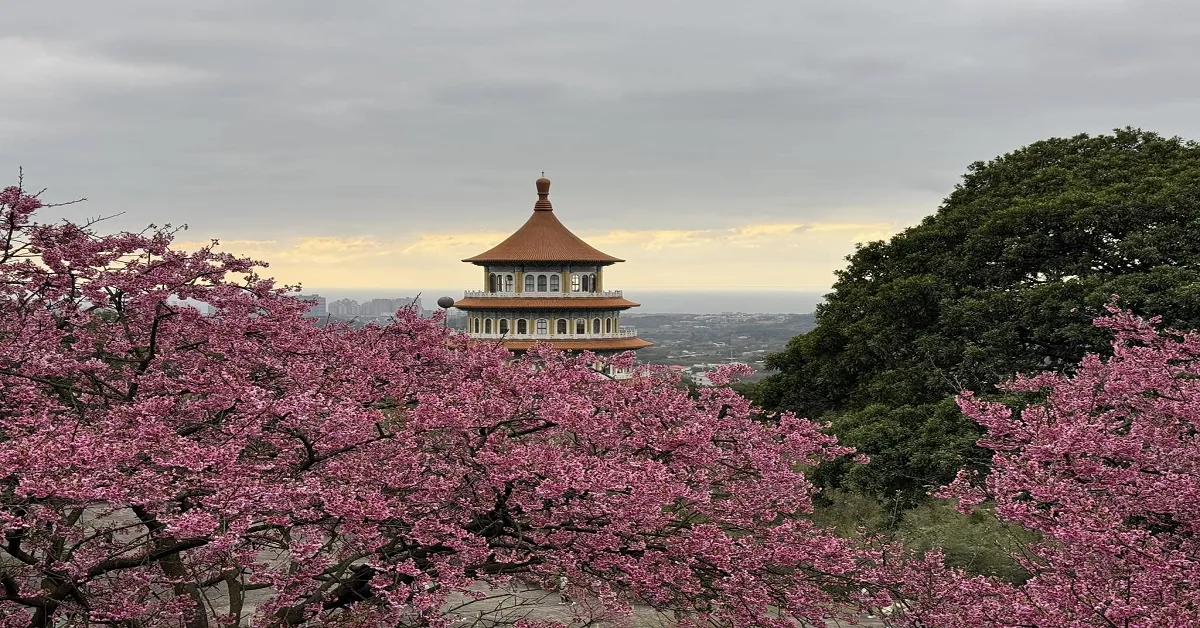 Taiwan Taipei Taichung Chiayi Sakura - ทัวร์ไต้หวัน มหัศจรรย์ ไทเป ไถจง เจียอี้ ชมดอกซากุระ