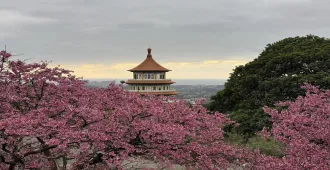 Taiwan Taipei Taichung Chiayi Sakura - ทัวร์ไต้หวัน มหัศจรรย์ ไทเป ไถจง เจียอี้ ชมดอกซากุระ