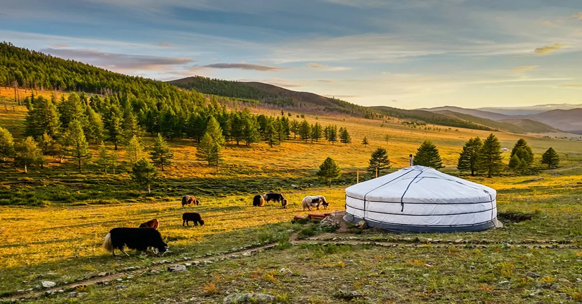 China Inner Mongolia golden meadow  Whistling Dune Bay - ทัวร์จีน มองโกเลียใน  ชมทุ่งหญ้าสีทอง ขี่อูฐชมทะเลทราย เซี่ยงซาวาน (ไม่ลงร้าน)