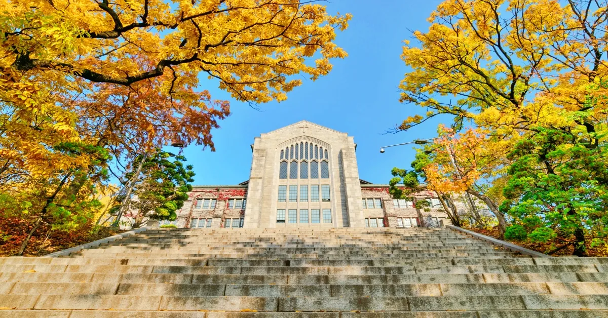 South Korea Seoul Autumn Lover - ทัวร์เกาหลี โซล สวนป่ากรุงโซล ทุ่งหญ้าสีเงินแห่งสวนฮวาซอ ชมใบไม้เปลี่ยนสี