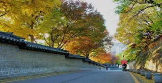 South Korea Autumn Lover - ทัวร์เกาหลี ชมใบไม้เปลี่ยนสี