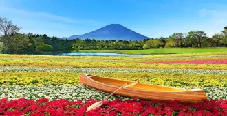Japan Tokyo Yamanashi Narita Fuji Summer Freeday - ทัวร์ญี่ปุ่น โตเกียว ยามานาชิ นาริตะ ซุปตาร์ ซัมเมอร์ ฟรีเดย์ ผจญภัยโตเกียวสุดฟิน 