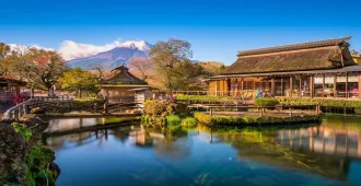 Japan Tokyo Sunshining  Fuji  - ทัวร์ญี่ปุ่น  โตเกียว ฟูจิ สัมผัสความงามของธรรมชาติในฤดูร้อน