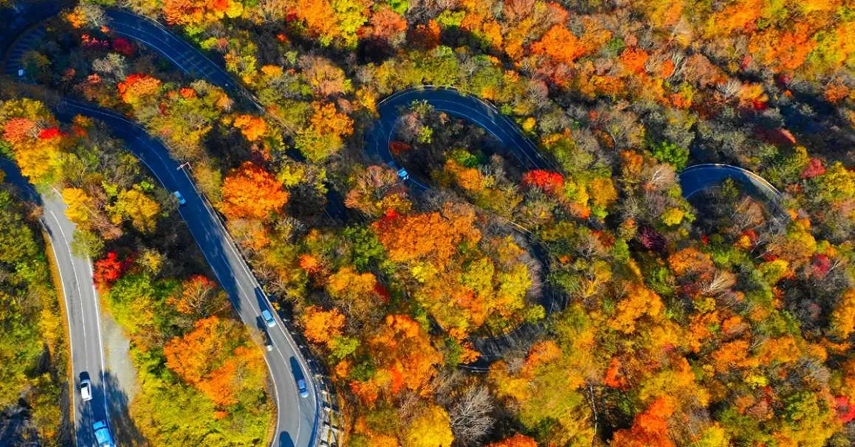 China Xī'ān Hangzong Zhuge Liang's Mausoleum Autumn - ทัวร์จีน ซีอาน สุสานจูเกอเหลียง ชมใบไม้เเดงของจีน (ไม่ลงร้าน)