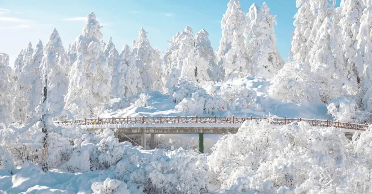  China Chengdu Siguniangshan Bipenggou Wawu Shan Tibetan - ทัวร์จีน เฉิงตู ภูเขาสี่ดรุณี ปี้เผิงโกว ภูเขาหิมะวาวู่ ชมภูเขาโต๊ะใหญ่ ที่สุดในโลก (ไม่ลงร้าน + พักหมู่บ้านทิเบต)