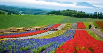 Japan Hokkaido Sapporo Shikisai no oka - ทัวร์ญี่ปุ่น ฮอกไกโด ซัปโปโร สวนดอกไม้ชิกิไซโนะโอกะ ( อิสระท่องเที่ยว)