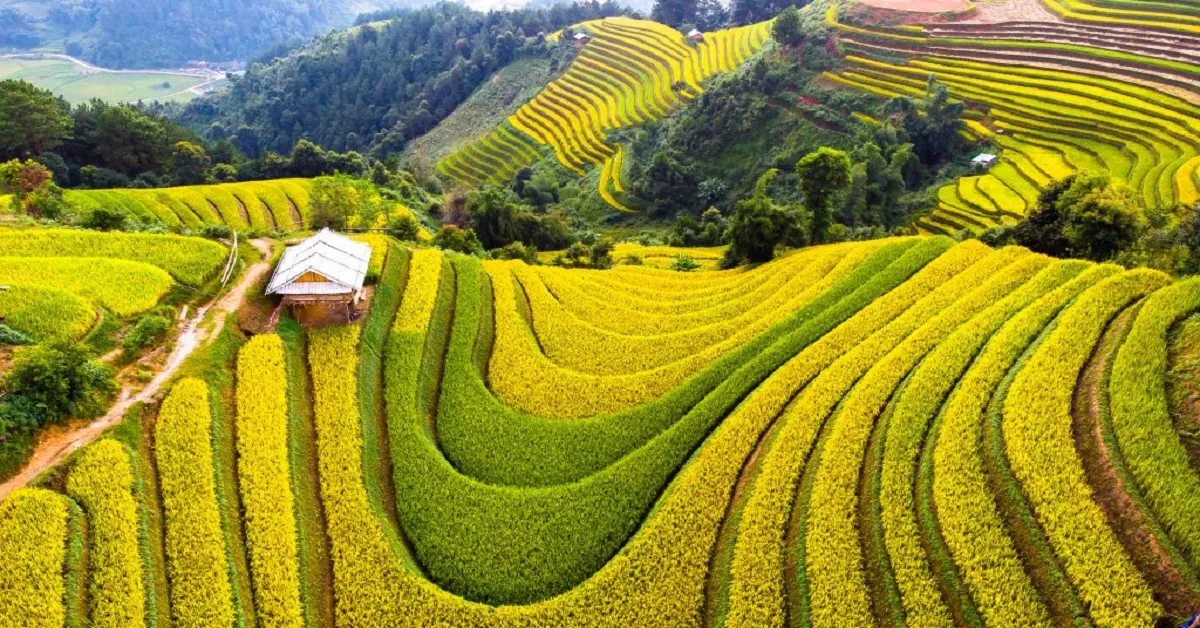 North Vietnam Hanoi Sapa Phansipan - ทัวร์เวียดนามเหนือ มหัศจรรย์ ฮานอย ซาปา ยอดเขาฟานซิปัน 