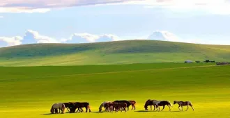 China Inner Mongolia Genghis Khan - ทัวร์จีน มองโกเลียใน  ย้อนรอยตำนานเจงกิสข่าน ดินแดนทุ่งหญ้า ทะเลทราย (ลงร้าน)