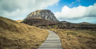 South  Korea Jeju  - ทัวร์เกาหลีใต้ เชจู ภูเขาฮัลลาซาน  (ลงร้าน)