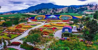  Thailand Uthai Thani - ทัวร์ไทย อุทัยธานี ชมต้นไม้ยักษ์บ้านสะนำและแก่น มะกรูด