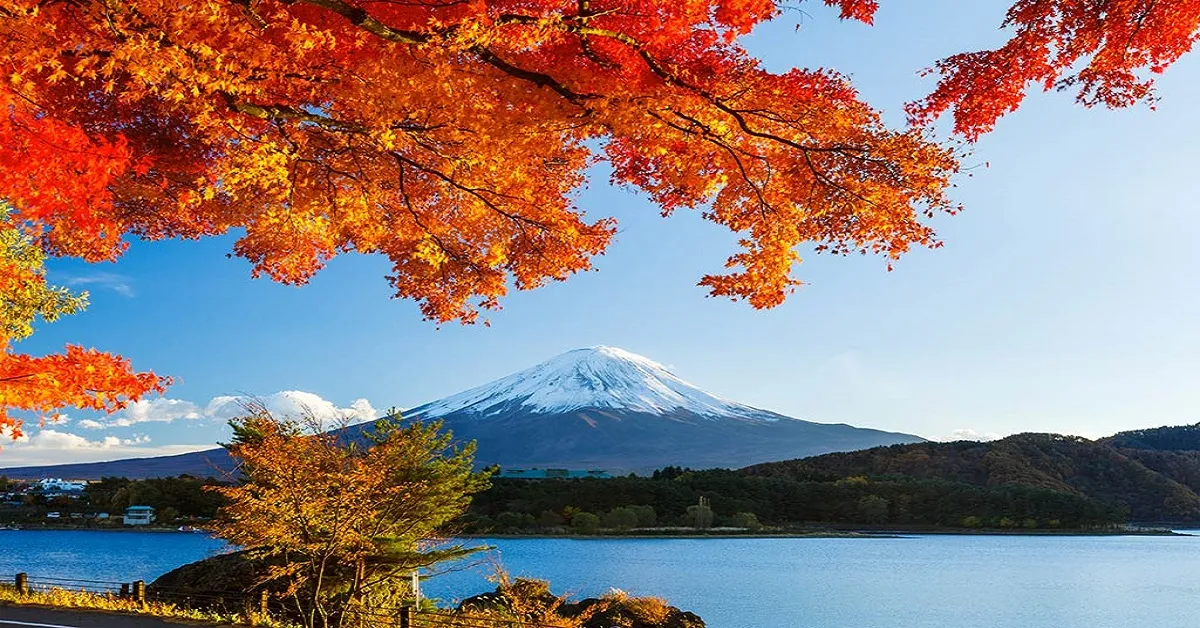 Japan Tokyo Fuji Autumn - ทัวร์ญี่ปุ่น โตเกียว ฟูจิ อุโมงค์เมเปิ้ล ใบไม้เปลี่ยนสี เที่ยวเต็มไม่มีอิสระ 