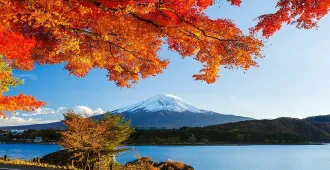 Japan Tokyo Fuji Autumn - ทัวร์ญี่ปุ่น โตเกียว ฟูจิ อุโมงค์เมเปิ้ล ใบไม้เปลี่ยนสี เที่ยวเต็มไม่มีอิสระ 