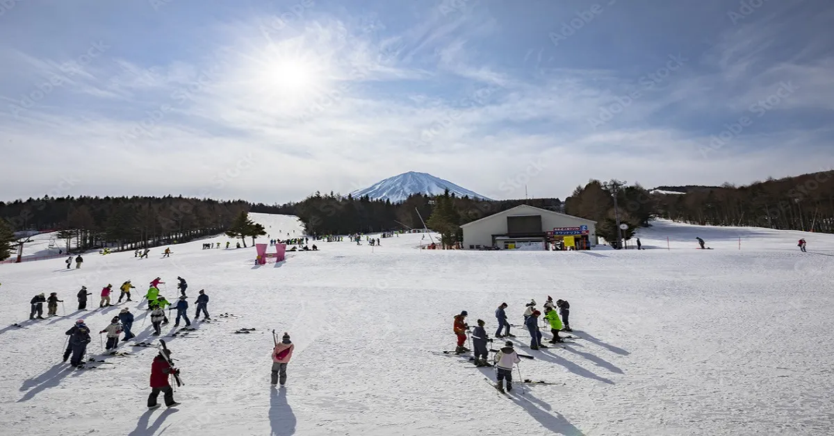 Japan Tokyo Fuji Narita Disneyland Illumination Ski Fujiten - ทัวร์ญี่ปุ่น โตเกียว ฟูจิ นาริตะ ดิสนีย์แลนด์ เทศกาลประดับไฟซากามิโกะ ลานสกีฟูจิเท็น