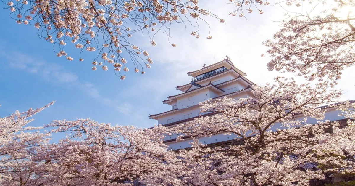 Japan Tour Tokyo Miyagi Sendai - ทัวร์ญี่ปุ่น โตเกียว มิยางิ เซนได พักออนเซน 1 คืนและชมปราสาทสึรุกะ