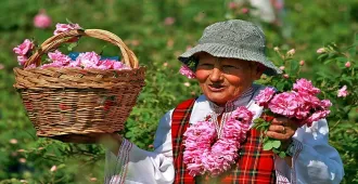 Romania Bulgaria Bucharest Rose Festival - ทัวร์โรมาเนีย บัลเเกเรีย บูคาเรสต์ เทศการดอกกุหลาบ