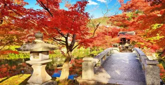 Japan Osaka Kyoto  - ทัวร์ญี่ปุ่น โอซาก้า ชมใบไม้เปลี่ยนสีแห่งใหม่ในเมืองเกียวโต