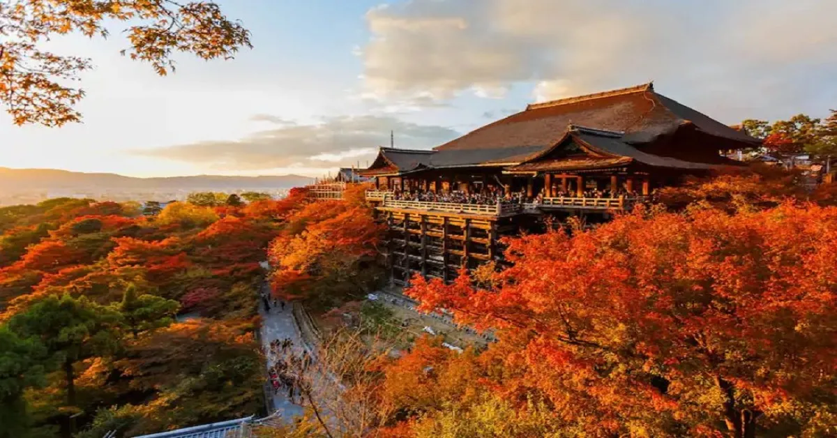 Japan Nakoya Kyoto Ise Togetsukyo bridge Autumn - ทัวร์ญี่ปุ่น เรียล เรียล...นาโกย่า เกียวโต ศาลเจ้าอิเสะ สะพานโทเก็ตสึเคียว ใบไม้เปลี่ยนสี