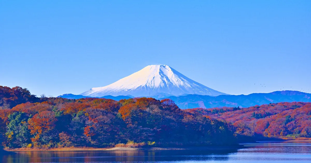 Japan Falling for Tokyo Narita Yokohama Fuji Freeday Or Disneyland Autumn - ทัวร์ญี่ปุ่น โตเกียว นาริตะ โยโกฮาม่า สัมผัสความงดงามของฟูจิ อิสระท่องเที่ยว ดิสนีย์แลนด์ ใบไม้เปลี่ยนสี
