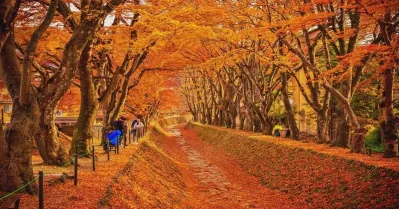 รูปภาพทัวร์