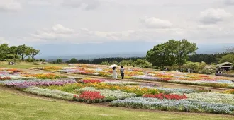 Japan Osaka Kyushu Aso MiyazakiFerry - ทัวร์ญี่ปุ่น โอซาก้า เกาะคิวชู ฤดูน่าเที่ยว