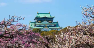 Japan Osaka Nagoya Takayama Kyoto Shirakawago - ทัวร์ญี่ปุ่น โอซาก้า นาโกย่า ทาคายาม่า เกียวโต ชิราคาวาโกะ ชมเทศกาลดอกบ๊วย