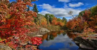 Grand Canada Vancouver Toronto Autumn - ทัวร์แกรนด์ มหัศจรรย์ เเคนาดา เเวนคูเวอร์ โทรอนโต ใบไม้เปลี่ยนสี