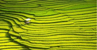 China Nanning Guilin Longshen Yangshuo Longji Rice Terraces - ทัวร์จีน หนานหนิง กุ้ยหลิน หลงเซิน หยางซั่ว เขาหรูยีฟง นาขั้นบันได้ (ไม่ลงร้าน)