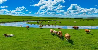China Inner Mongolia Kunming Huize - ทัวร์จีน มองโกเลียใน คุนหมิง ฮุ่ยเจ๋อ ชมภูเขาทุ่งหญ้าแห่งมองโกเลียน้อย (ลงร้าน + อิสระ 1 วัน)