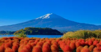 Japan Osaka Tokyo Fuji Kyoto Nara Maple Mood - ทัวร์ญี่ปุ่น โอซาก้า โตเกียว ฟูจิ เกียวโต นารา หมู่บ้านชิราคาวาโกะ ชมใบเมเปิ้ล