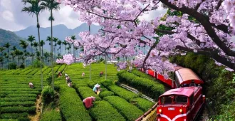Taiwan Taipei Alishan Sunmoon Lake Yehliu - ทัวร์ไต้หวัน ไทเป อาหลีซาน ล่องเรือทะเลสาบสุริยันจันทรา อุทยานหินเหย่หลิ่ว
