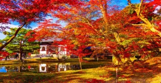 Japan Osaka Nagoya Daijizan Seidaiji Kamikochi Autumn - ทัวร์ญี่ปุ่น โอซาก้า นาโกย่า วัดไดชิซังเซอิไดจิ คามิโคจิ ใบไม้เปลี่ยนสี