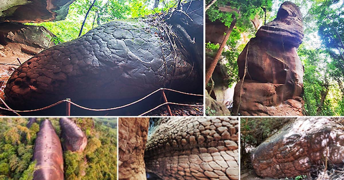 รูปภาพทัวร์