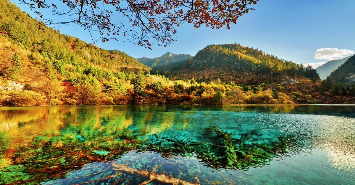 China Chengdu Dujiangyan Siguniangshan Jiuzhaigou - ทัวร์จีน เฉิงตู ตูเจียงเอี้ยน หุบเขาสี่ดรุณี อุทยานจิ่วจ้ายโกว ช้อปฟิน เช็คอินแลนด์มาร์ก (ลงร้าน)