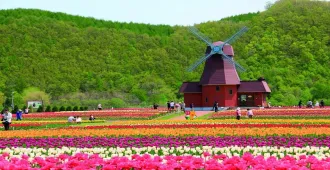 Japan Hokkaido Kiroro Sapporo Asahikawa - ทัวร์ญี่ปุ่น ทัวร์ เรียล เรียล...ฮอกไกโด หิมะปีใหม่ ขาวจับใจ 