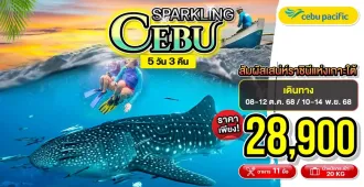 Philippines Cebu - ทัวร์ฟิลิปปินส์ เซบู ดำน้ำดูฉลามวาฬออสล็อบ เกาะโบโฮล