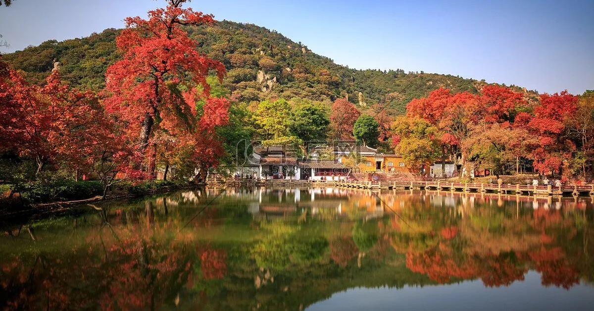 China Shanghai Hangzhou Suzhou Autumn - ทัวร์จีน เซี่ยงไฮ้ หังโจว ซูโจว อุทยานเทียนผิงซาน ล่องเรือทะเลสาบซีหู ชมใบไม้เปลี่ยนสี (ลงร้าน)