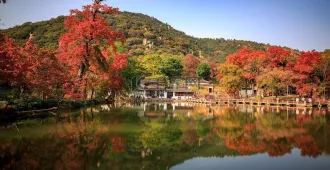 China Shanghai Hangzhou Suzhou Autumn - ทัวร์จีน เซี่ยงไฮ้ หังโจว ซูโจว อุทยานเทียนผิงซาน ล่องเรือทะเลสาบซีหู ชมใบไม้เปลี่ยนสี (ลงร้าน)